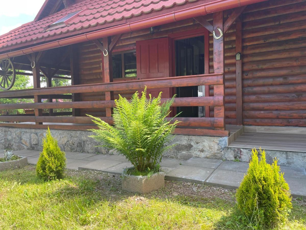Cabana Transilvania Belis Ngoại thất bức ảnh